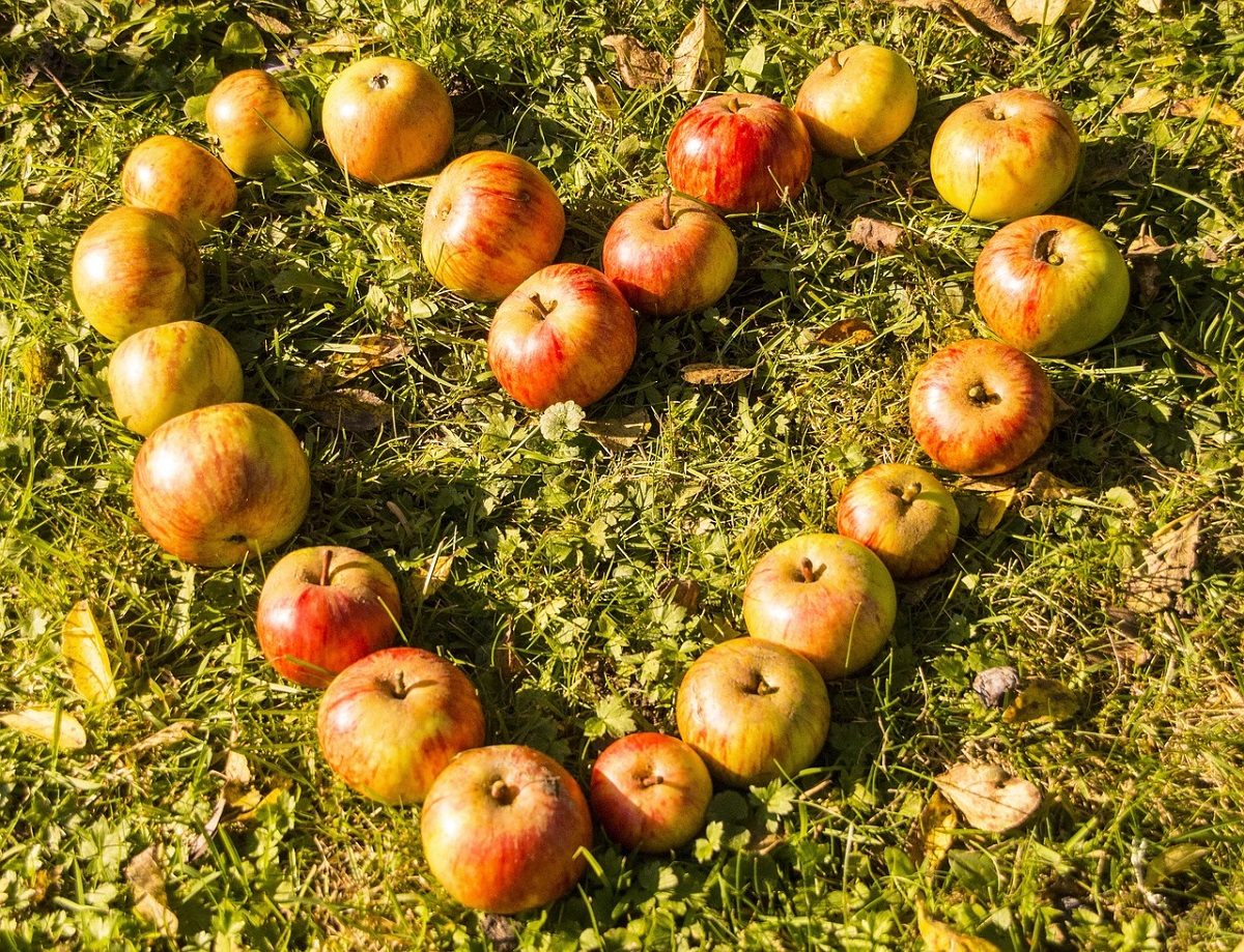 Mindful eating: una guida per gestire la fame emotiva dopo le festività