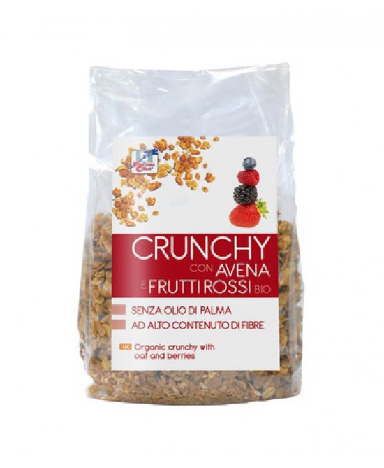 FSC CRUNCHY CON AVENA E FRUTTI ROSSI BIO AD ALTO CONTENUTO DI FIBRE CON OLIO DI GIRASOLE SENZA OLIO DI PALMA 375 G - farmasorriso.com