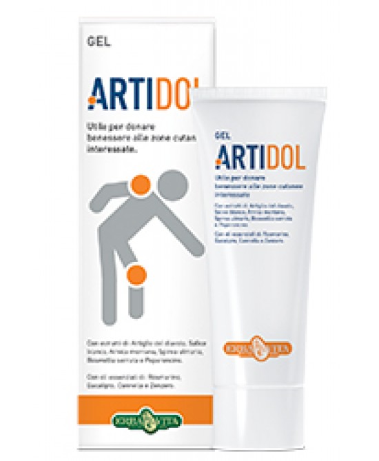 ARTIDOL GEL 100 ML - farmasorriso.com