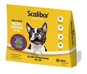 SCALIBOR PROTECTOR BAND*BI48CM - farmasorriso.com