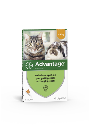 ADVANTAGE*4PIP 0,4ML SPOTON - farmasorriso.com