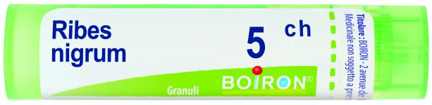 RIBES NIGRUM 5CH GRANULI - farmasorriso.com