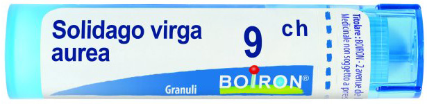 SOLIDAGO VIRGA AUREA 9CH GRANULI - farmasorriso.com