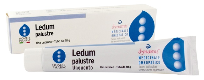 LEDUM PALUSTRE HOMEOPHARM UNGUENTO 40 G - farmasorriso.com