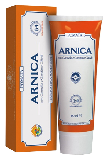 ARNICA FORTE POMATA 100 ML - farmasorriso.com