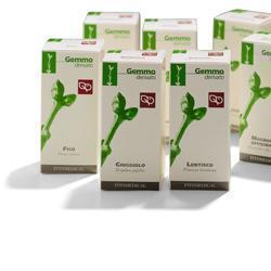 LAMPONE MACERATO GLICERICO 100 ML - farmasorriso.com