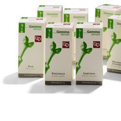RIBES NE 100ML MG - farmasorriso.com