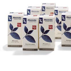 ECHINACEA TINTURA MADRE 50 ML - farmasorriso.com