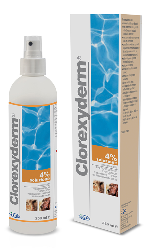 CLOREXYDERM SOLUZIONE 4% 250 ML - farmasorriso.com