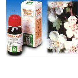 BIANCOSPINO 10 50ML TM - farmasorriso.com