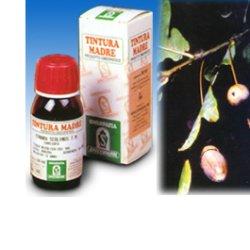 QUERCIA MARI 14 50ML TM - farmasorriso.com