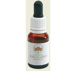 SPINIFEX AUSTRALIAN 15 ML GOCCE - farmasorriso.com