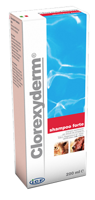 CLOREXYDERM SHAMPOO FORTE 200 ML - farmasorriso.com