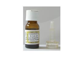 SIDEA C INTEGRALE VITAMINA C 10 ML - farmasorriso.com