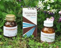 VIRIDIS GINKO BILOBA 60 OPERCOLI - farmasorriso.com