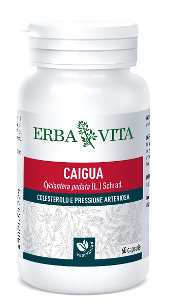 CAIGUA 60 CAPSULE 400 MG - farmasorriso.com