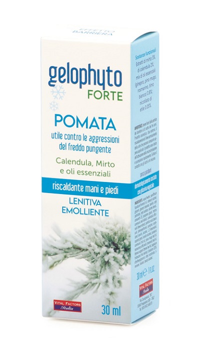 GELOPHYTO FORTE POMATA 30 ML - farmasorriso.com