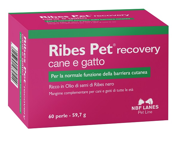 RIBES PET RECOVERY BLISTER 60 PERLE - farmasorriso.com
