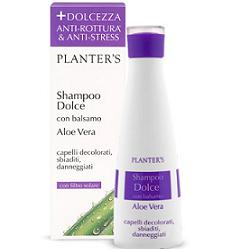 PLANTER'S SHAMPOO DOLCE ALL'ALOE VERA 200 ML - farmasorriso.com