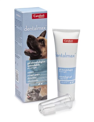 DENTALMAX GEL STOMATOLOGICO 50 ML - farmasorriso.com