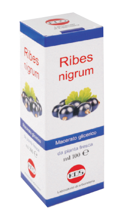 RIBES NIGRUM MACERATO GLICERICO 100 ML GOCCE - farmasorriso.com