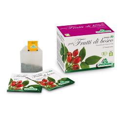 INFUSO BIO FRUTTA FRUTTI DI BOSCO 20 FILTRI - farmasorriso.com