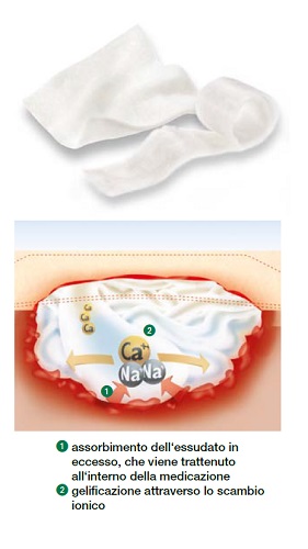 MEDICAZIONE STERILE IN ALGINATO DI CALCIO COMPRESSA SUPRASORB A ALTAMENTE ASSORBENTE 10X10 CM 10 PEZZI - farmasorriso.com