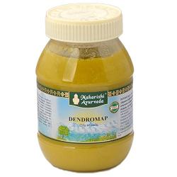 DENDROMAP PASTA 250 G - farmasorriso.com