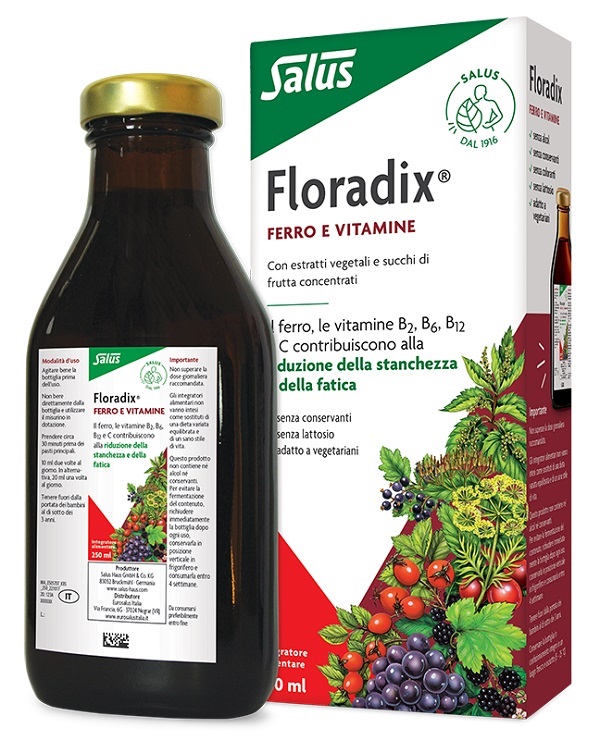 FLORADIX FERRO E VITAMINE 250 ML - farmasorriso.com