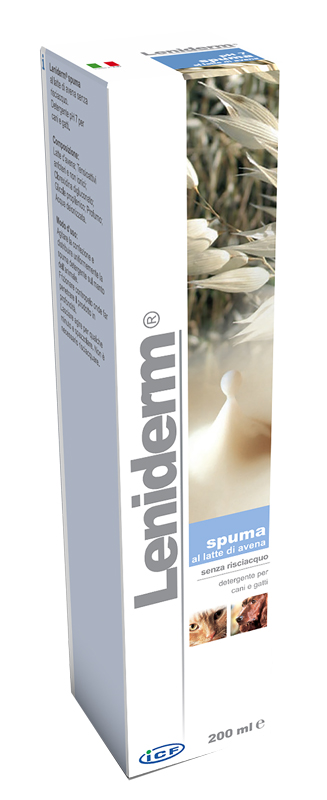 LENIDERM SPUMA DETERGENTE 200 ML - farmasorriso.com