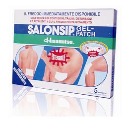 IMPACCO REFRIGERANTE SALONSIP 5 PEZZI - farmasorriso.com