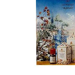 CALENDULA OLIO 100ML - farmasorriso.com