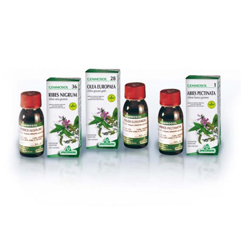 GEMMOSOL 46 TIGLIO ARGEN 50ML - farmasorriso.com
