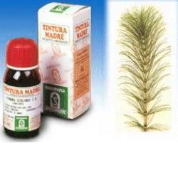 EQUISETO 12 50ML TM - farmasorriso.com