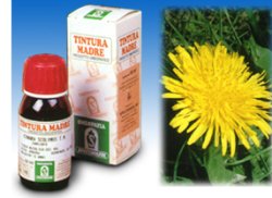 TARASSACO 28 50ML TM - farmasorriso.com
