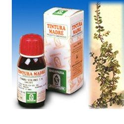 UVA URSINA 30 50ML TM - farmasorriso.com