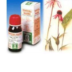 ECHINACEA 59 50ML TM - farmasorriso.com