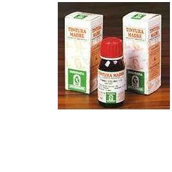 ERISIMO 61 50ML TM - farmasorriso.com