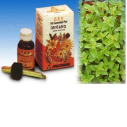 ORIGANO OLIO ESSENZIALE PURO 10 ML - farmasorriso.com