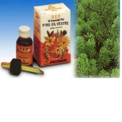 PINO SILVESTRE OLIO ESSENZIALE PURO 10 ML - farmasorriso.com