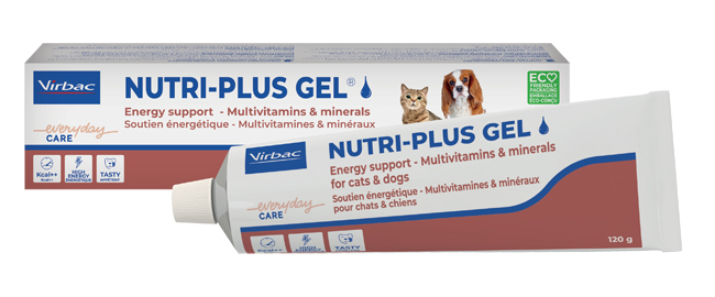 NUTRIPLUS GEL PASTA ORALE 120 G - farmasorriso.com