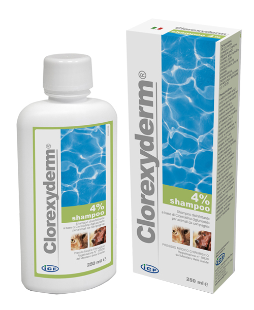 CLOREXYDERM SHAMPOO 4% 250 ML - farmasorriso.com