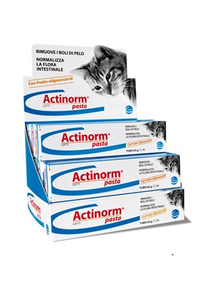 ACTINORM PASTA GATTI 65 G - farmasorriso.com