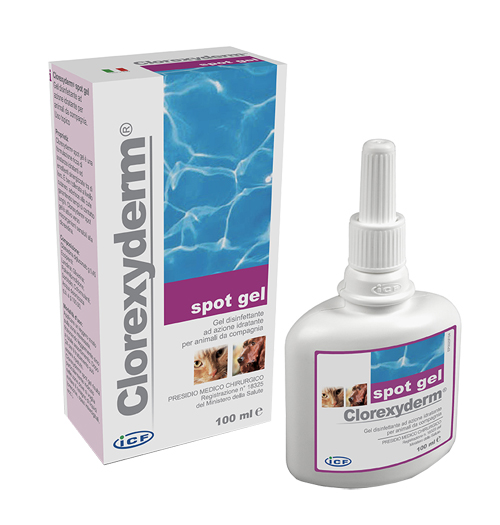 CLOREXYDERM SPOT GEL 100 ML - farmasorriso.com