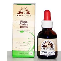 FITOBLASTO FICUS CARICA 50 ML - farmasorriso.com
