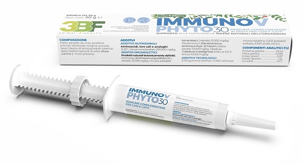 IMMUNOV PASTA SIRINGA 30 G - farmasorriso.com