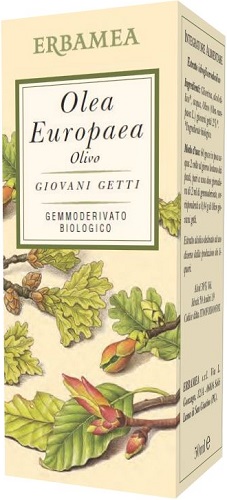 OLEA EUROPEA OLIVO BIO 50 ML - farmasorriso.com