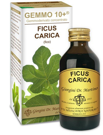 GEMMO 10+ FICO LIQUIDO ANALCOLICO 100 ML - farmasorriso.com