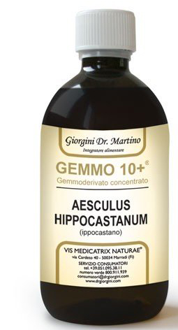 GEMOO 10+ GEMMODERIVATO CONCENTRATO IPPOCASTANO LIQUIDO ANALCOLICO AESCULUS HIPPOCASTANUM IPPOCASTANO 500 ML - farmasorriso.com