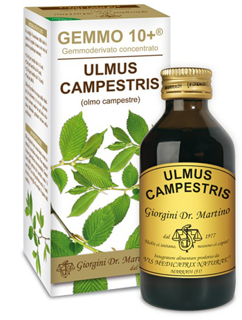 GEMMO 10+ OLMO CAMPESTRE 100 ML LIQUIDO ANALCOLICO - farmasorriso.com